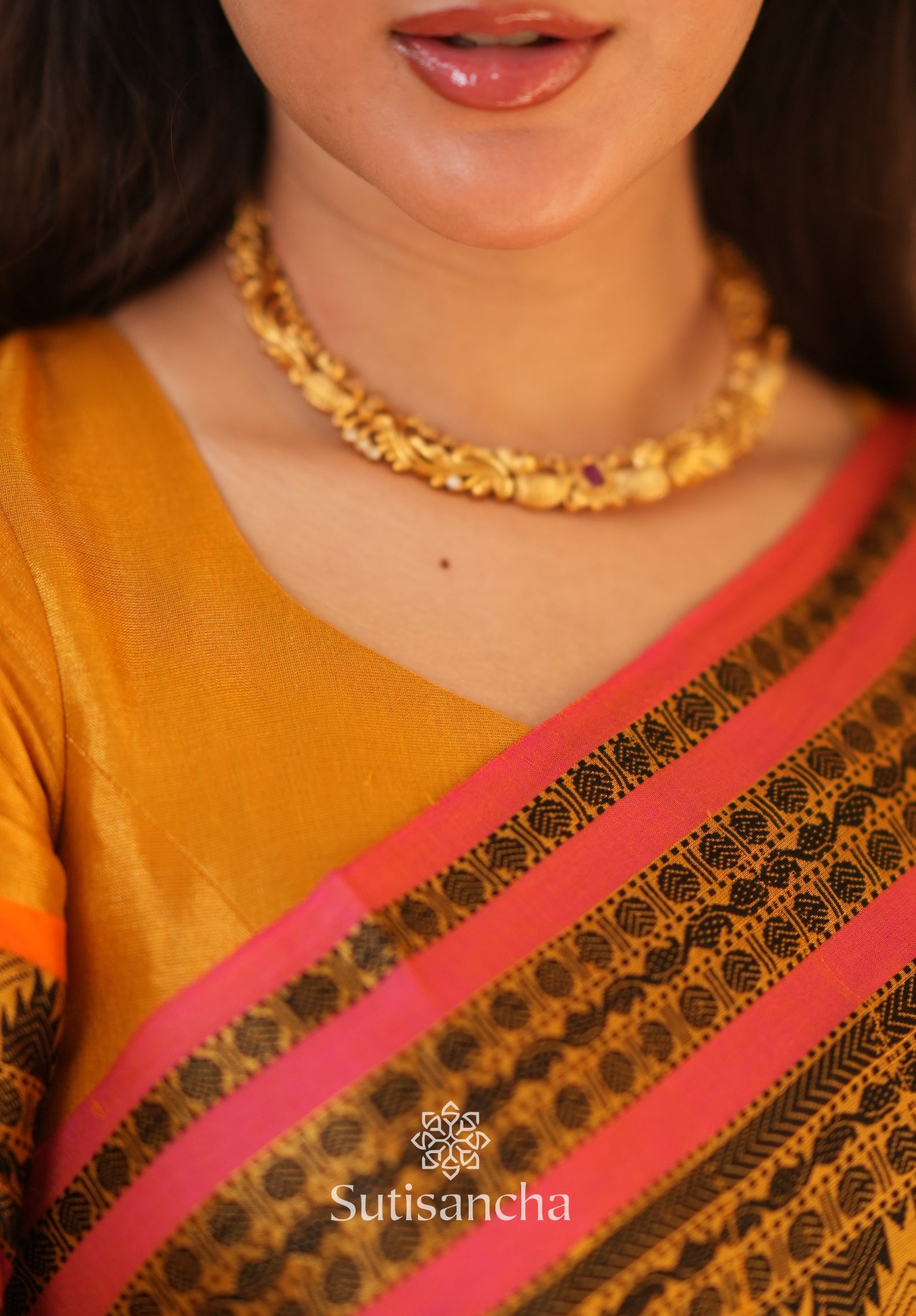 South Charm Tissue Cotton Saree with Traditional Border