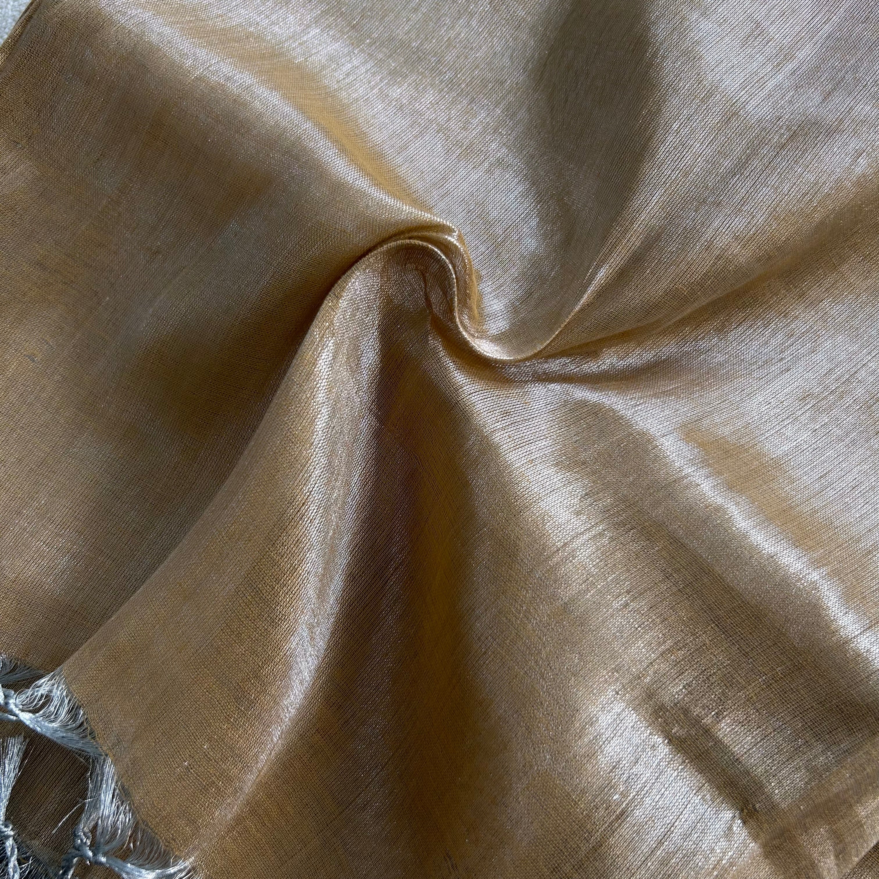Sutisancha Skeen Handloom Tissue Saree With Designer Blouse