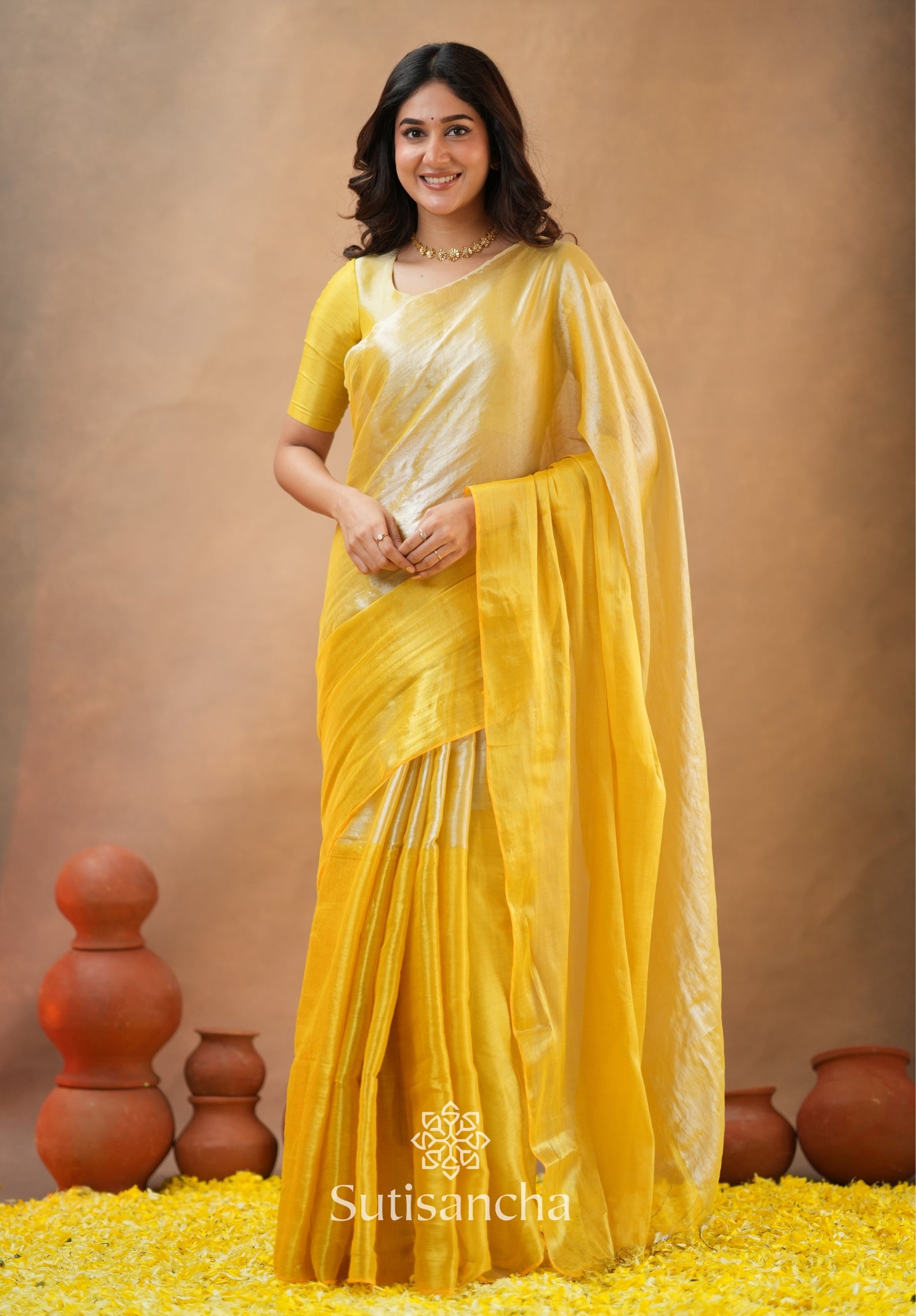 Regal Split Elegance Handloom Tissue Cotton Saree