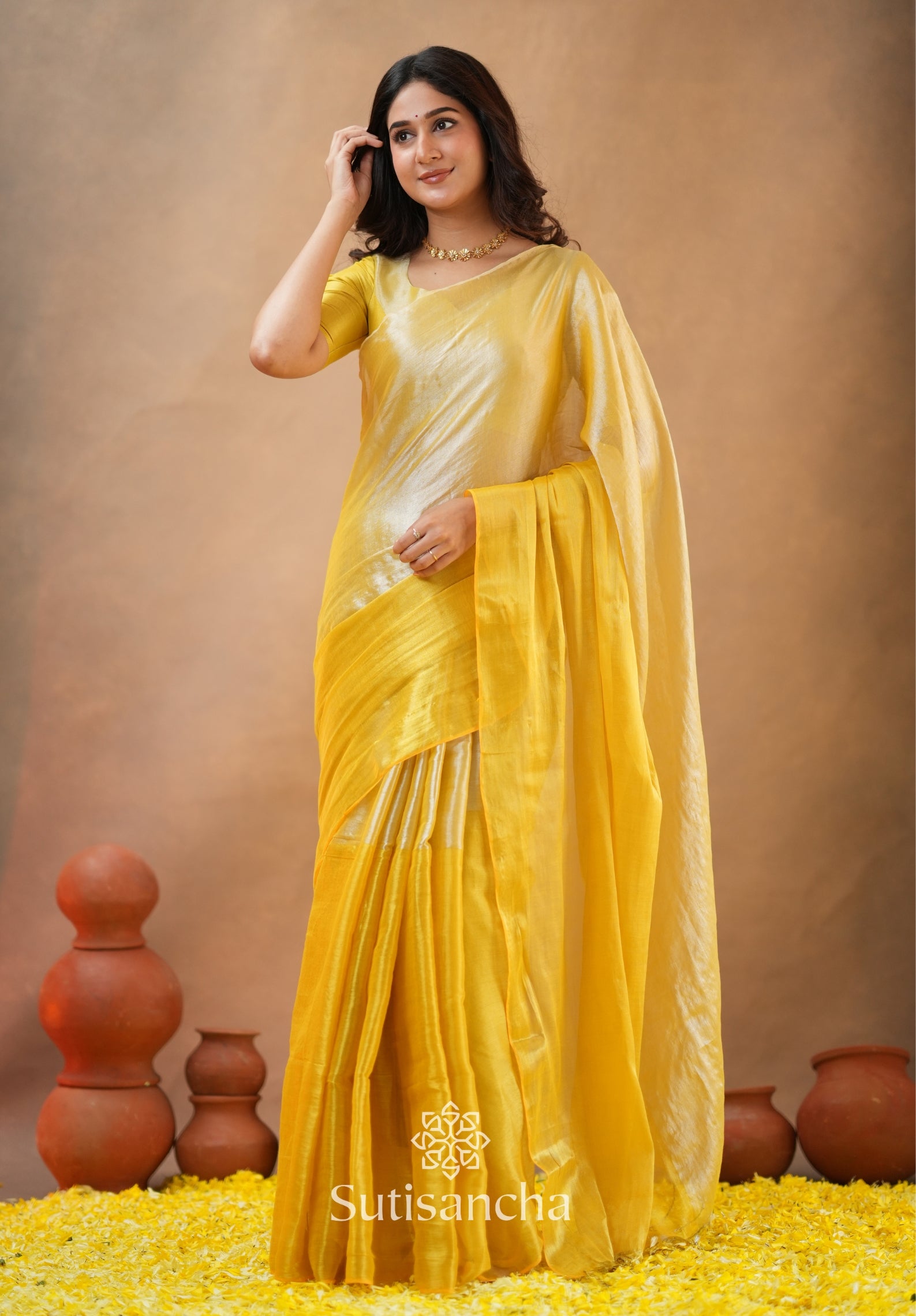 Regal Split Elegance Handloom Tissue Cotton Saree