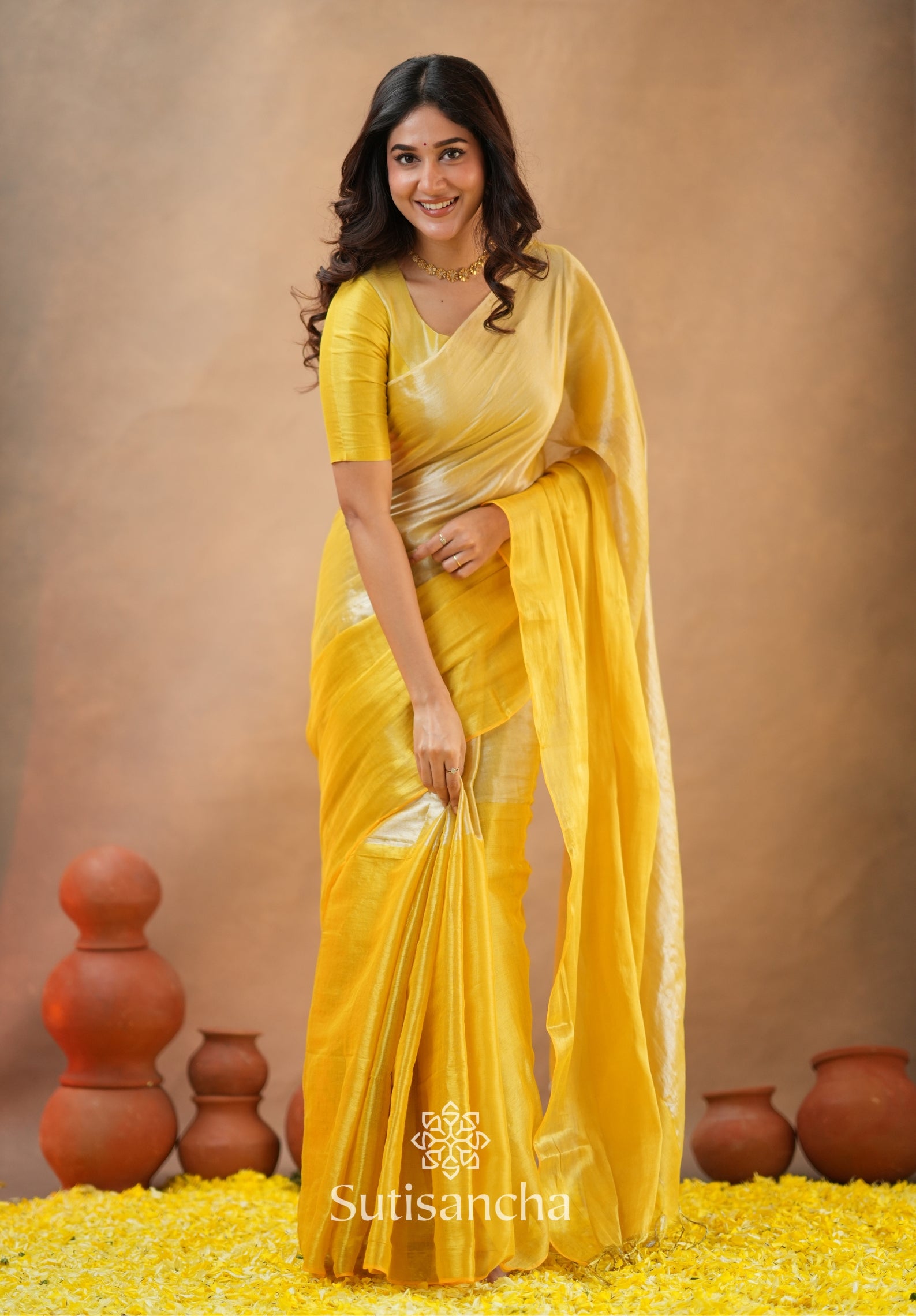 Regal Split Elegance Handloom Tissue Cotton Saree