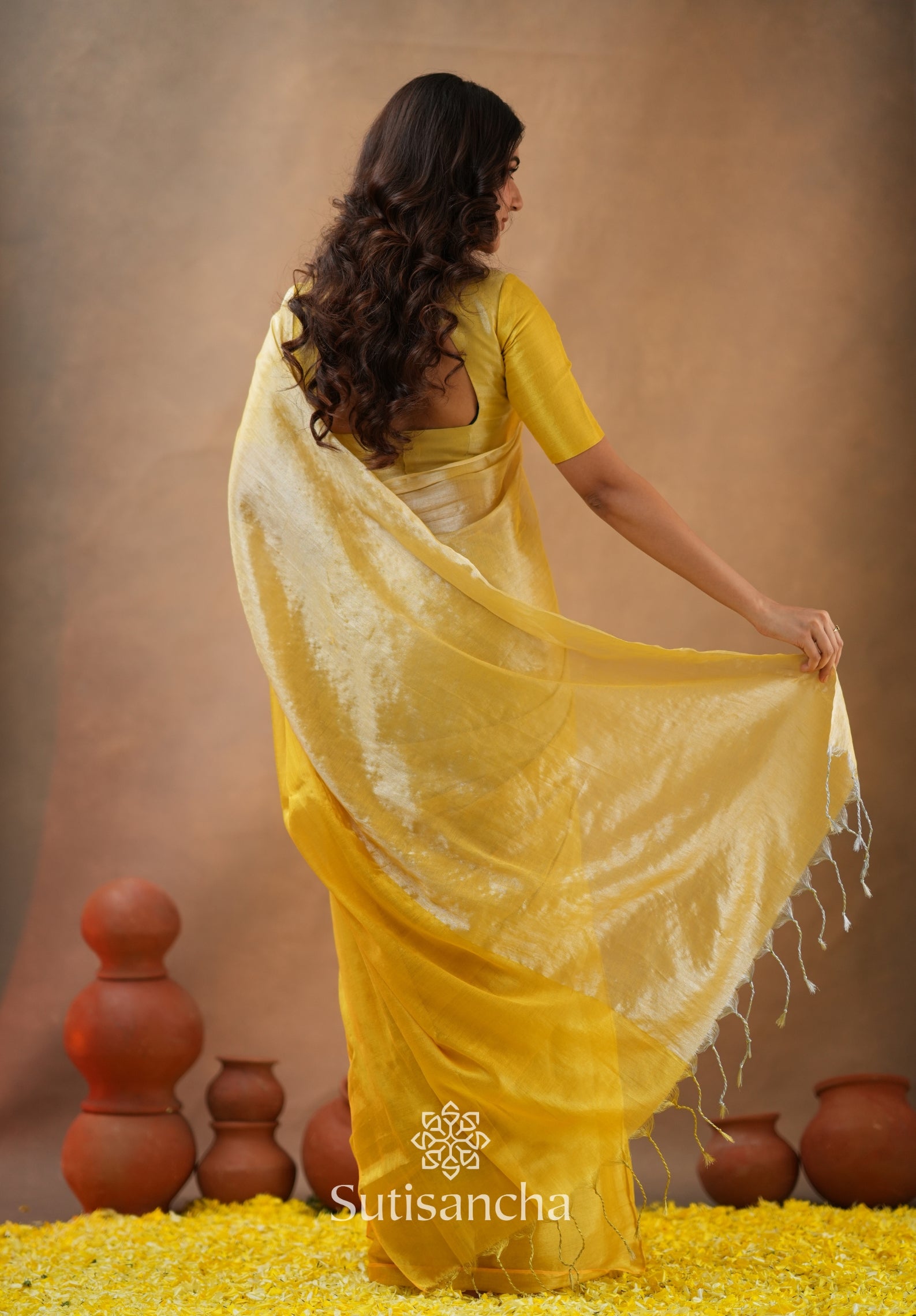 Regal Split Elegance Handloom Tissue Cotton Saree