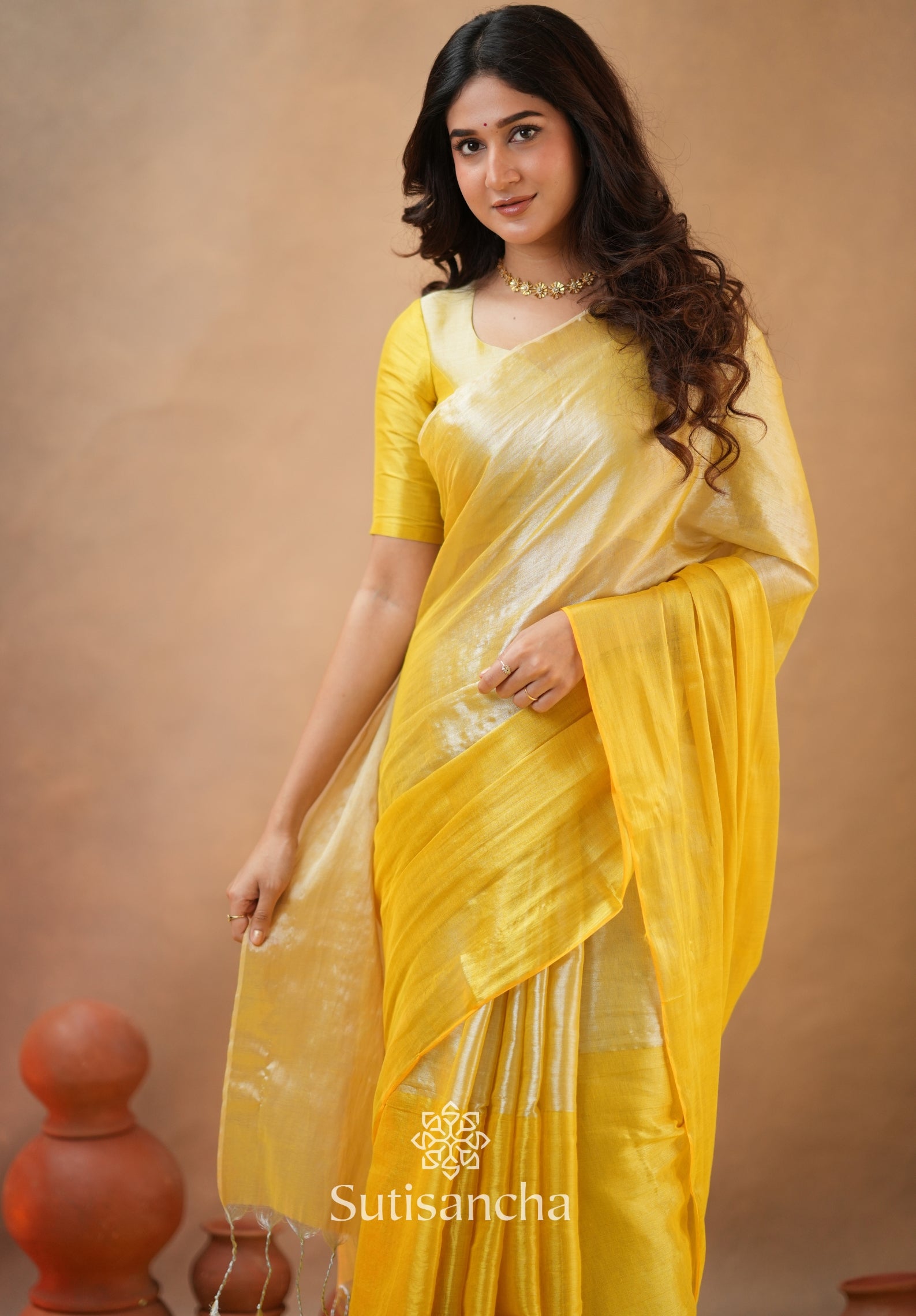 Regal Split Elegance Handloom Tissue Cotton Saree