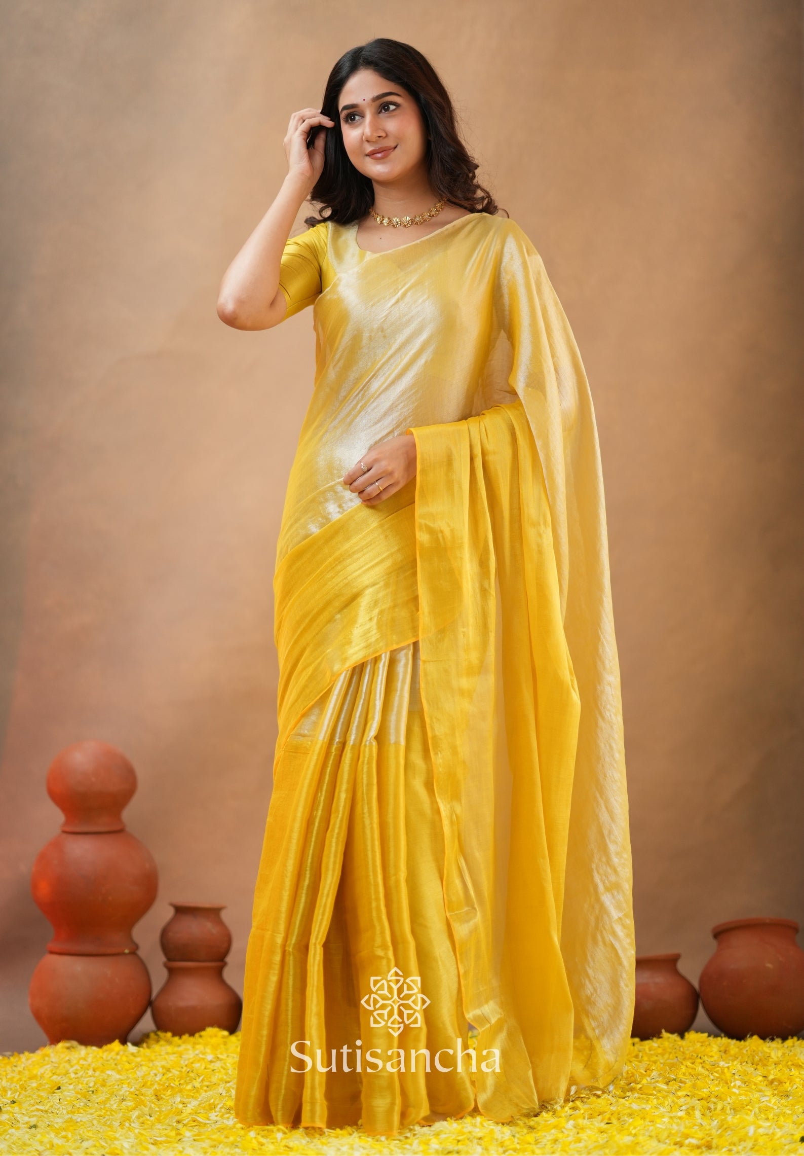 Regal Split Elegance Handloom Tissue Cotton Saree