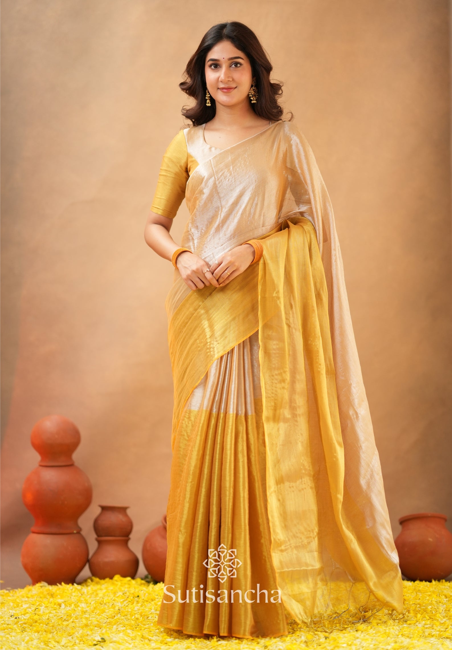 Regal Split Elegance Handloom Tissue Cotton Saree