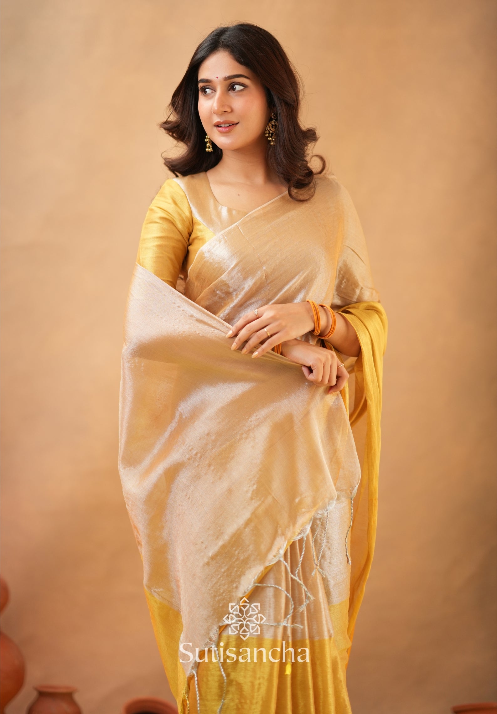 Regal Split Elegance Handloom Tissue Cotton Saree