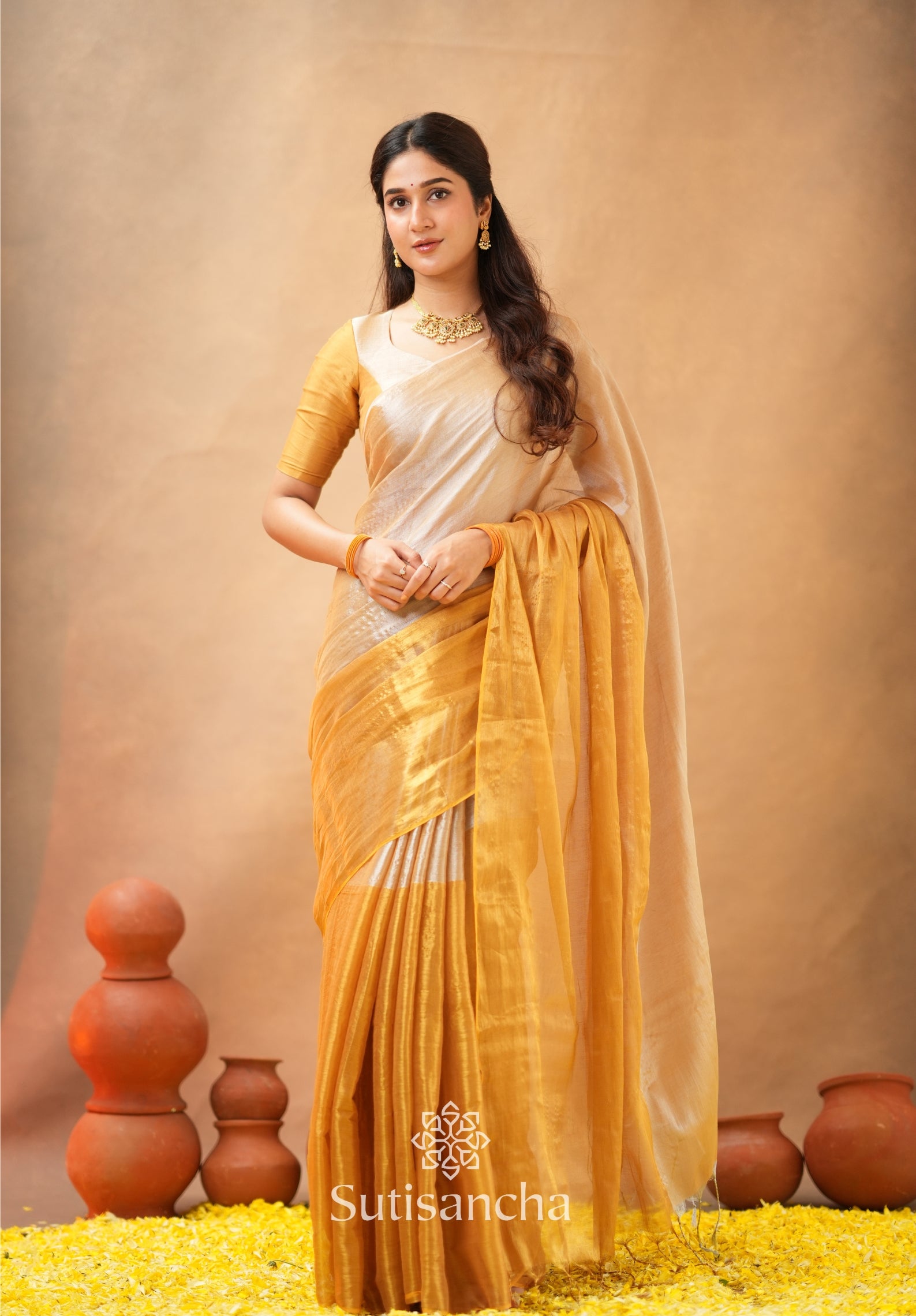 Regal Split Elegance Handloom Tissue Cotton Saree