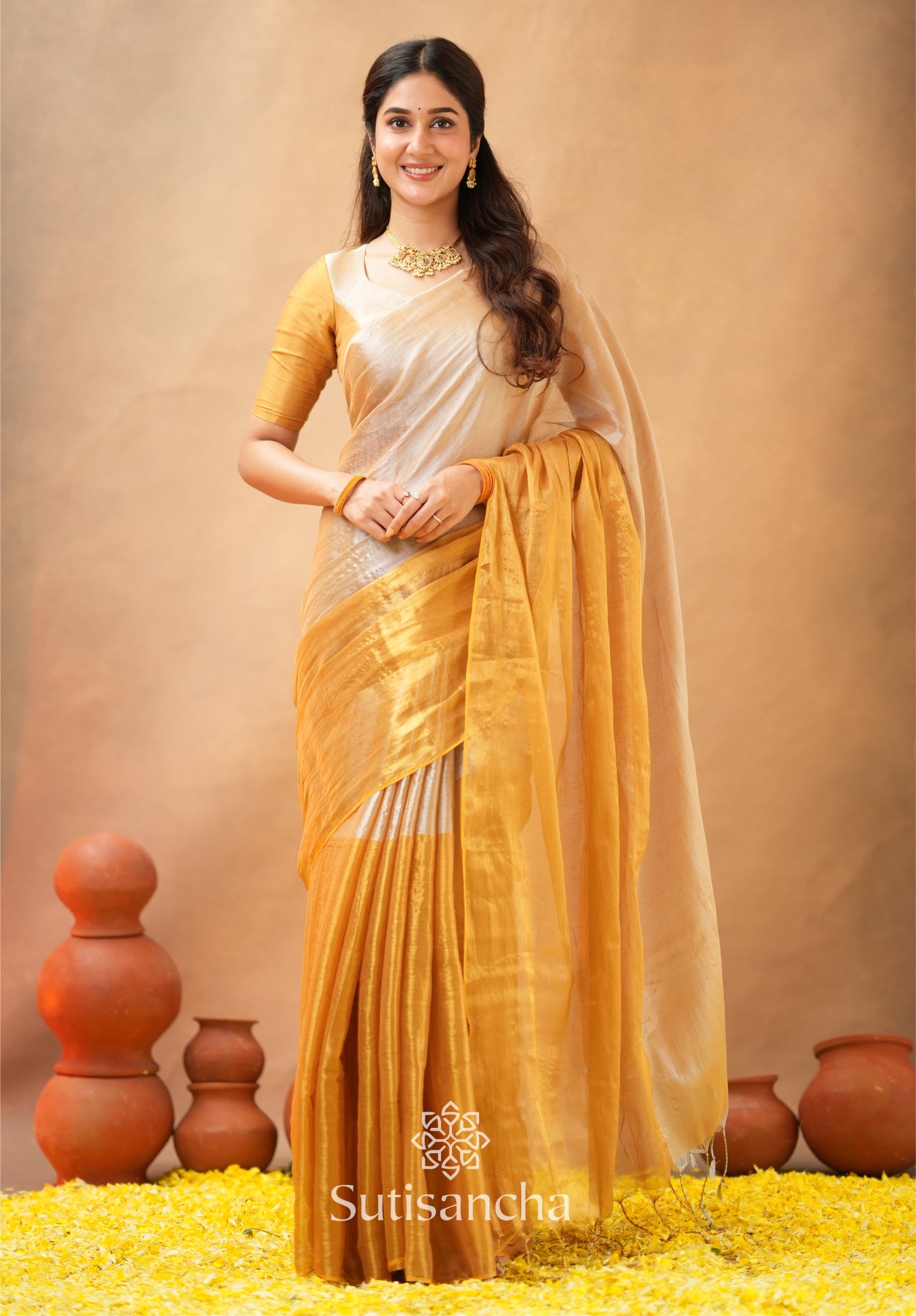 Regal Split Elegance Handloom Tissue Cotton Saree