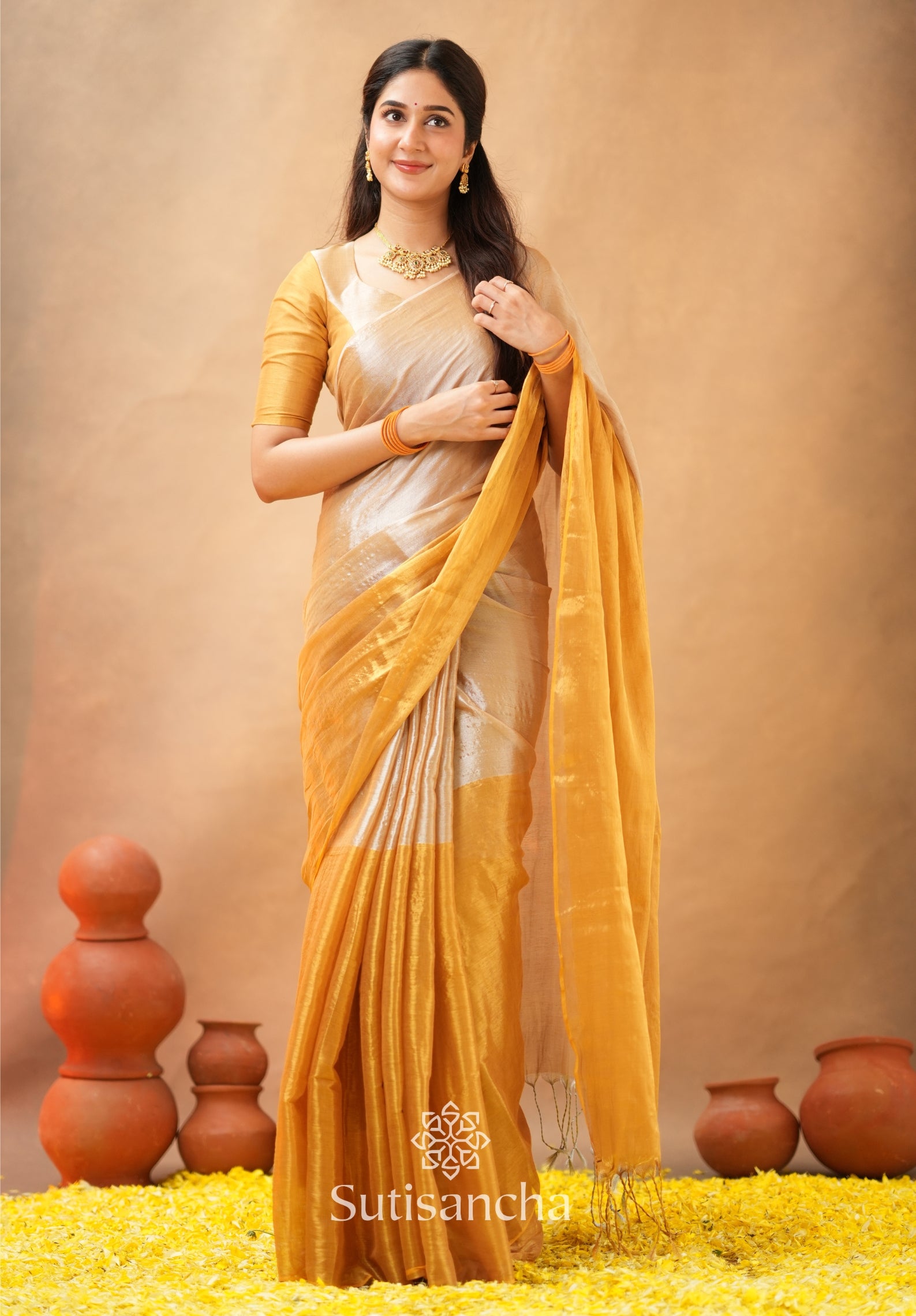 Regal Split Elegance Handloom Tissue Cotton Saree