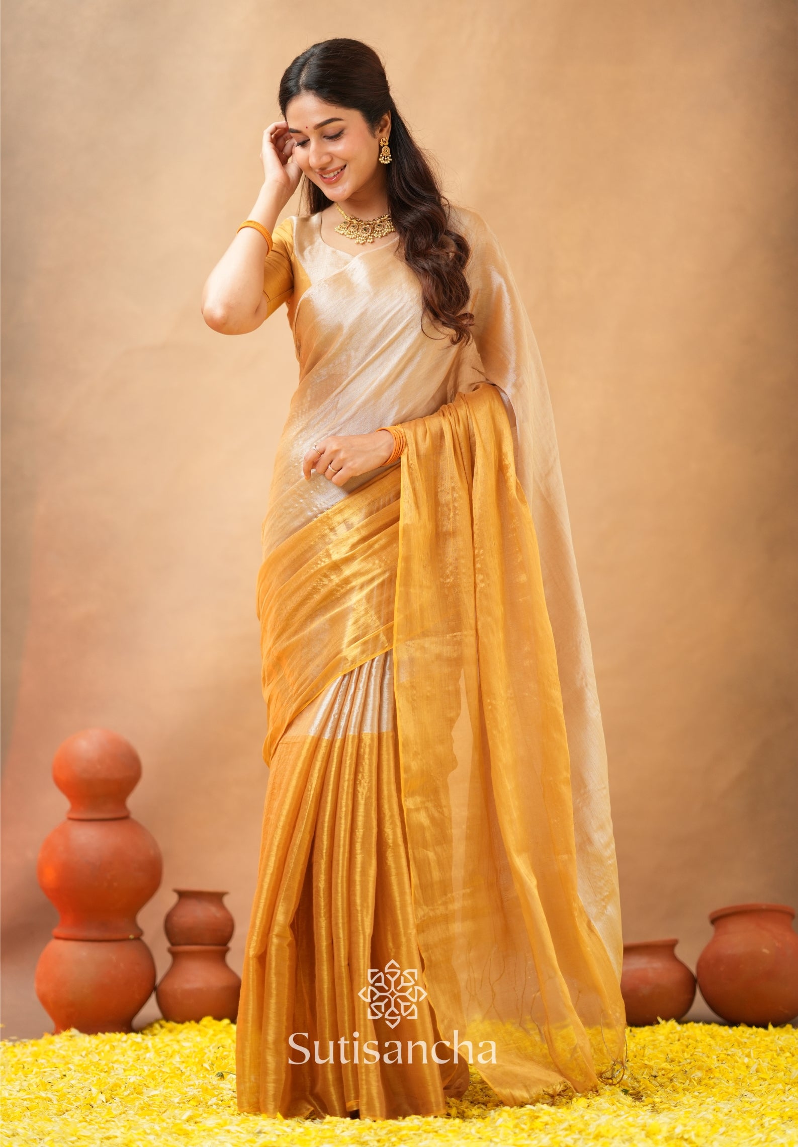 Regal Split Elegance Handloom Tissue Cotton Saree