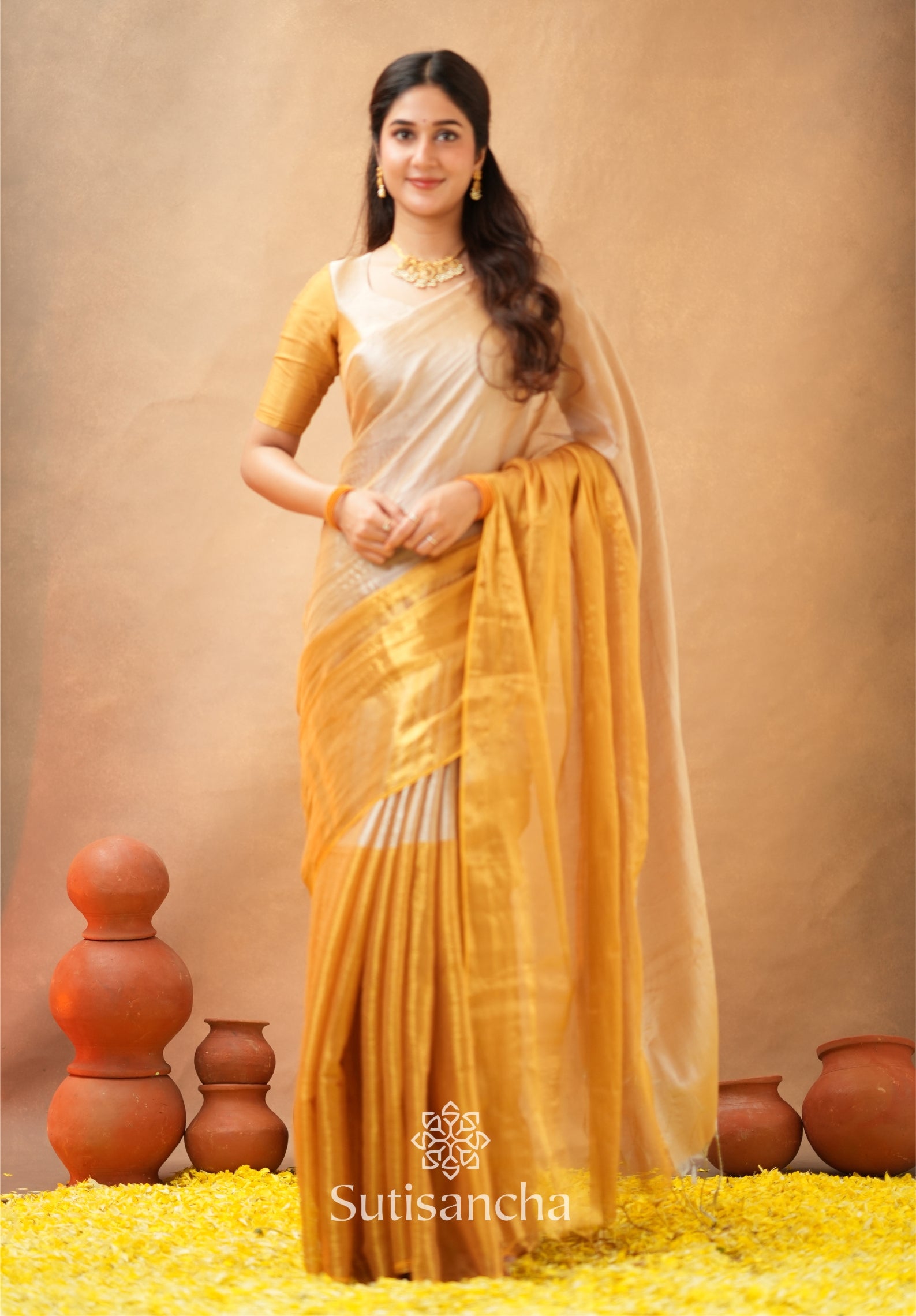 Regal Split Elegance Handloom Tissue Cotton Saree